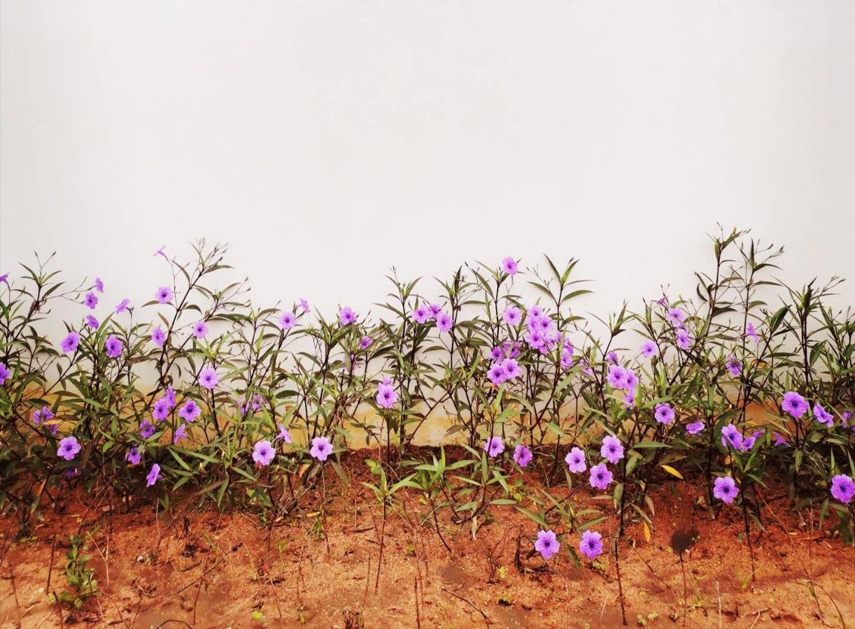 Nararin Garden House Bed and Breakfast Ban Nong Sa Buitenkant foto